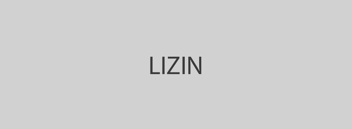 lizin