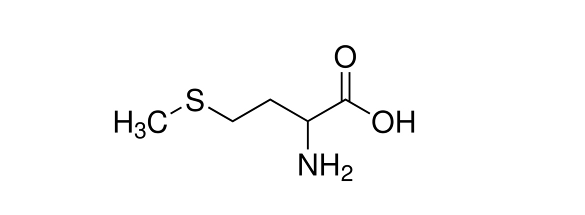 metonin_portfolio